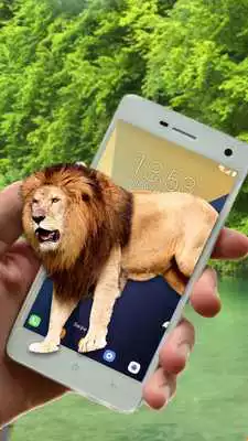 Play Lion On Screen Play Lion On Screen