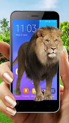 Play Lion On Screen Play Lion On Screen