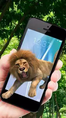 Play Lion On Screen Play Lion On Screen