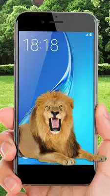 Play Lion On Screen Play Lion On Screen