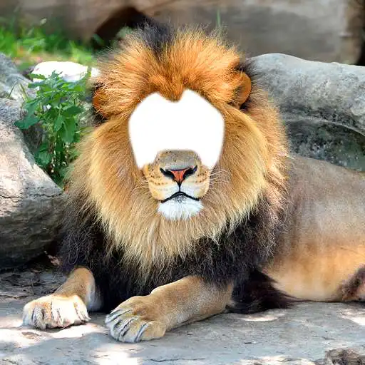 Free play online Lion Photo Montage APK