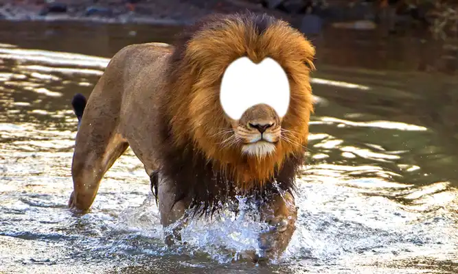 Play Lion Photo Montage