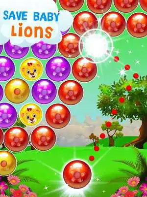 Play Lion Pop: Bubble Shooter Mania
