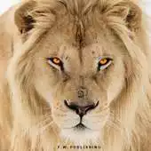Free play online Lion Puzzles Lite APK Free play online Lion Puzzles Lite APK