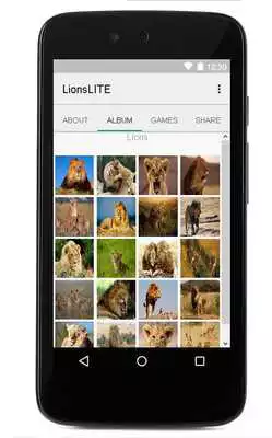Play Lion Puzzles Lite