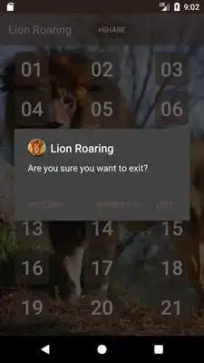 Play Lion Roaring