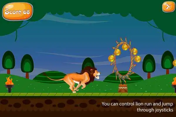 Play Lion Run
