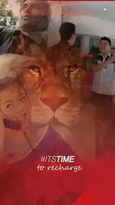 Play Lion Sales AUTO2000