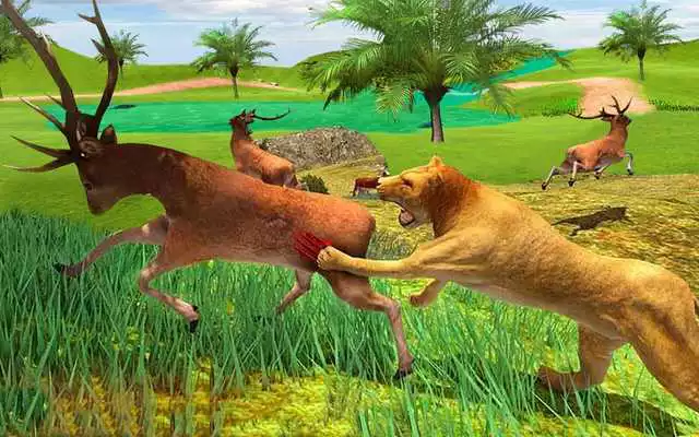 Play Lion Simulator