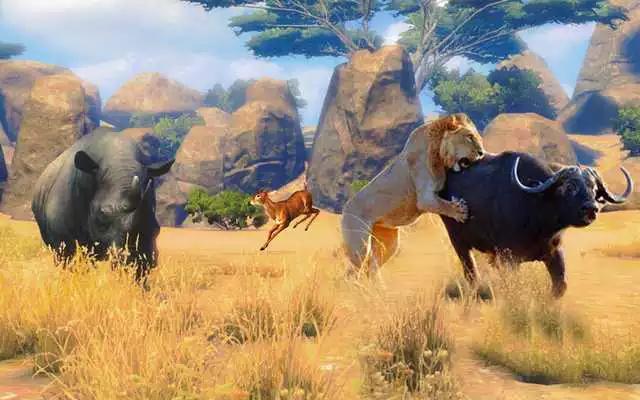 Play Lion Simulator