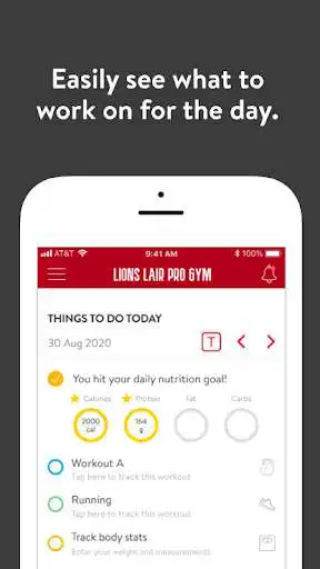 Play Lions Lair Pro Gym as an online game Lions Lair Pro Gym with UptoPlay