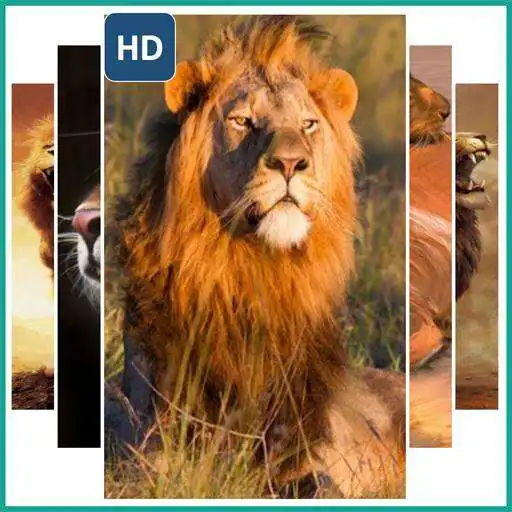 Free play online lions live wallpapers APK Free play online lions live wallpapers APK