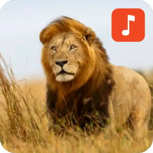 Play Lion Sound Effects APK