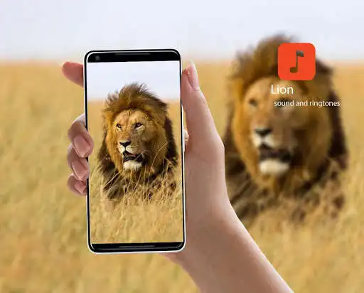 Play Lion Sound Effects  and enjoy Lion Sound Effects with UptoPlay
