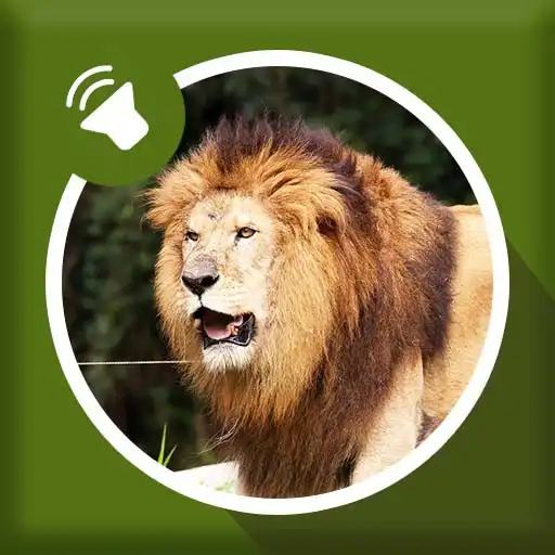 Free play online Lion Sounds APK Free play online Lion Sounds APK