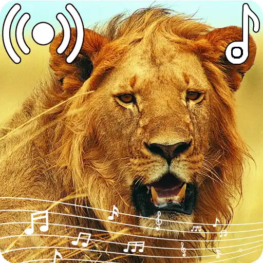 Play Lion Sounds Ringtone APK