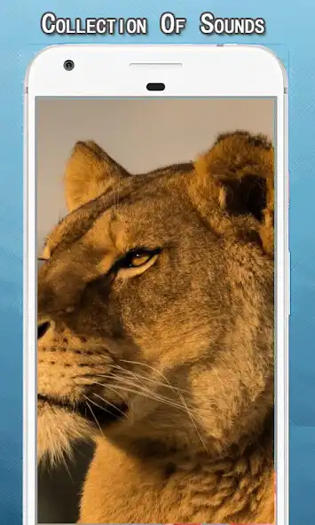 Play Lion Sounds Ringtone and enjoy Lion Sounds Ringtone with UptoPlay Play Lion Sounds Ringtone and enjoy Lion Sounds Ringtone with UptoPlay