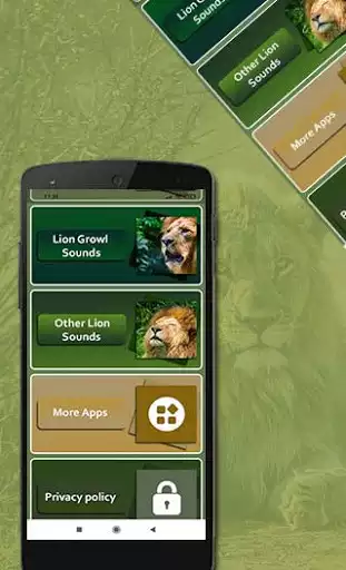 Play Lion Sounds