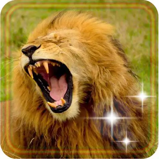 Free play online Lion Sounds Wild  APK