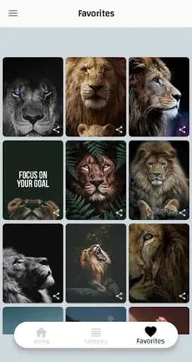 Play Lions Pictures HD Offine  and enjoy Lions Pictures HD Offine with UptoPlay
