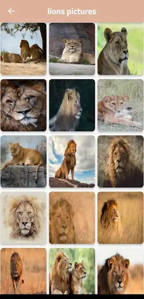 Play Lions pictures as an online game Lions pictures with UptoPlay
