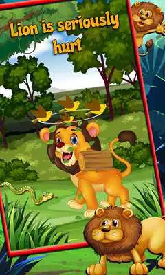 Play Lion Surgery  Vet Care
