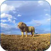 Free play online Lions Video Live Wallpaper APK