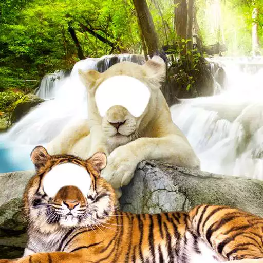 Free play online Lion Tiger Photo Editor APK Free play online Lion Tiger Photo Editor APK