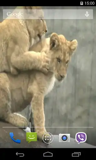 Play Lion Video Live Wallpaper as an online game Lion Video Live Wallpaper with UptoPlay