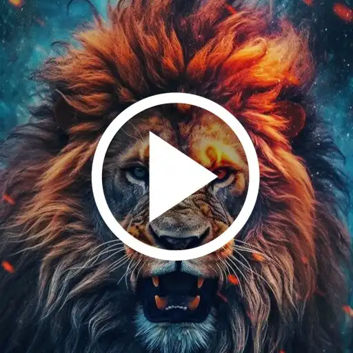 Play Lion Video Wallpaper APK