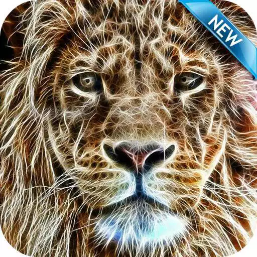 Run free android online Lion Wallpaper HD Free APK Run free android online Lion Wallpaper HD Free APK