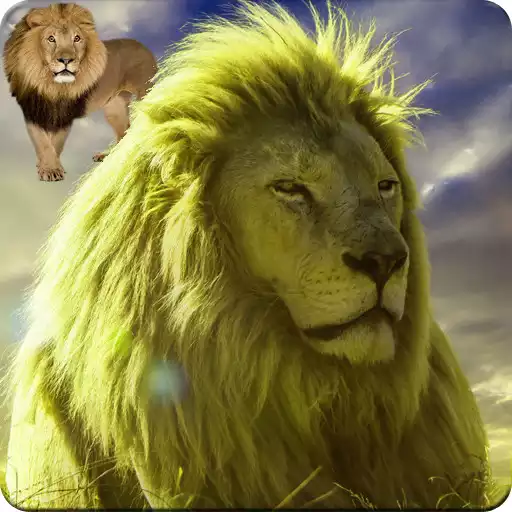 Play Lion Wallpaper HD APK Play Lion Wallpaper HD APK