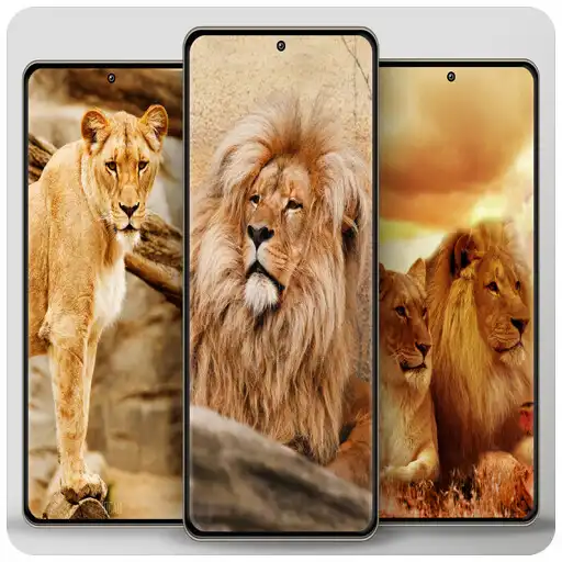 Play Lion wallpaper lioness APK