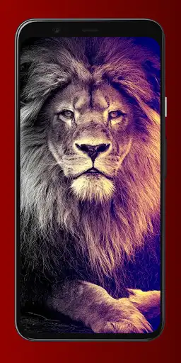 Play Lion Wallpapers 4K  and enjoy Lion Wallpapers 4K with UptoPlay