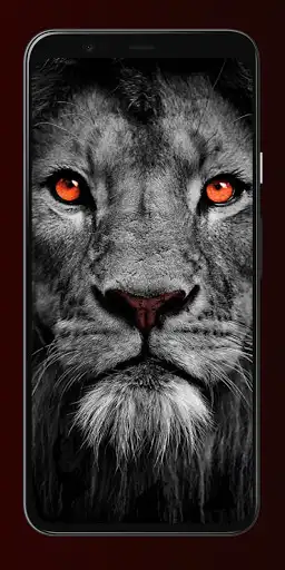 Play Lion Wallpapers 4K as an online game Lion Wallpapers 4K with UptoPlay
