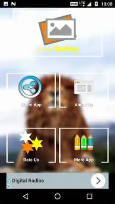 Play Lion Wallpapers and Backgrounds