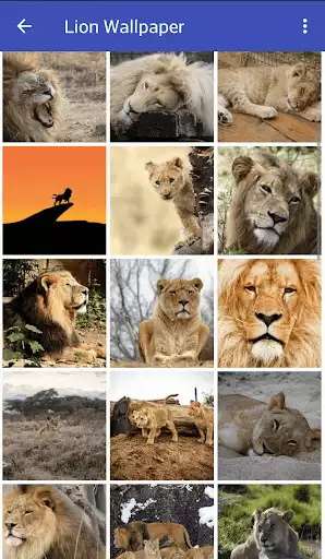 Play Lion Wallpaper as an online game Lion Wallpaper with UptoPlay