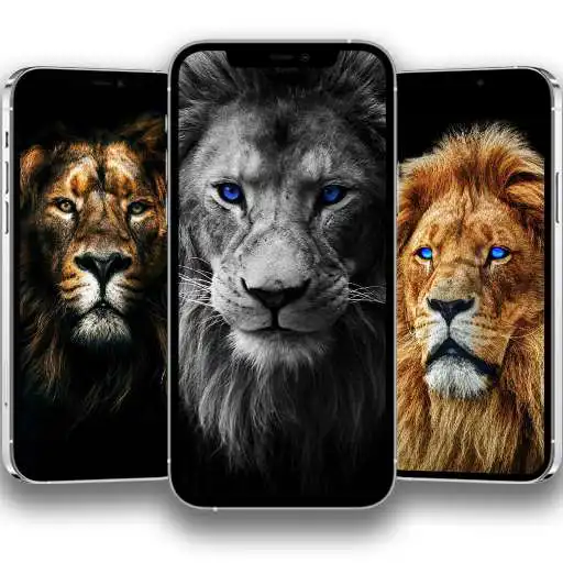 Play Lion Wallpapers HD and 4K APK