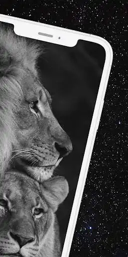 Play Lion Wallpapers HD and 4K as an online game Lion Wallpapers HD and 4K with UptoPlay