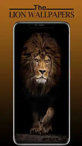 Play Lion Wallpaper, Sher Ka Photo  and enjoy Lion Wallpaper, Sher Ka Photo with UptoPlay
