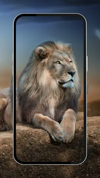 Play Lion Wallpapers Offline as an online game Lion Wallpapers Offline with UptoPlay