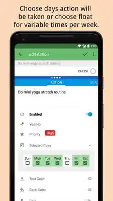 Play List:Daily Checklist Play List:Daily Checklist