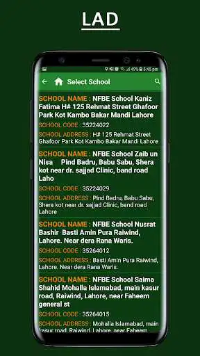 Play Literacy Assessment Drive (LAD)