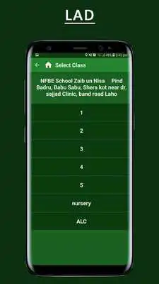 Play Literacy Assessment Drive (LAD)