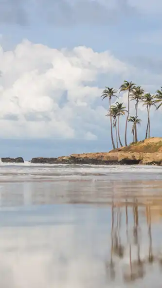 Play Litoral ComBrasil TV  and enjoy Litoral ComBrasil TV with UptoPlay