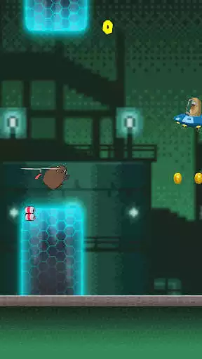 Play Little Bear Fly as an online game Little Bear Fly with UptoPlay