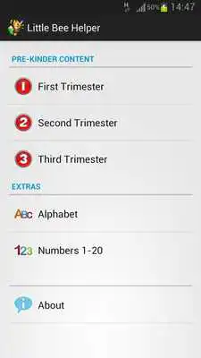 Play Little Bee Helper