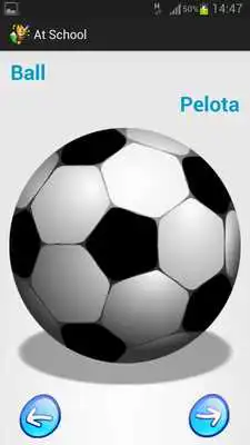 Play Little Bee Helper