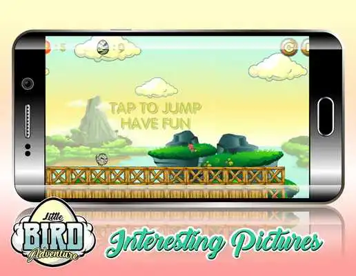 Play Little Bird Adventure