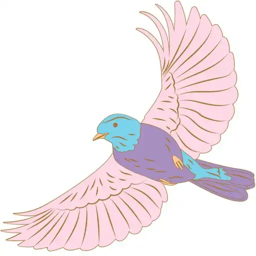 Play Little Bird Pilates APK